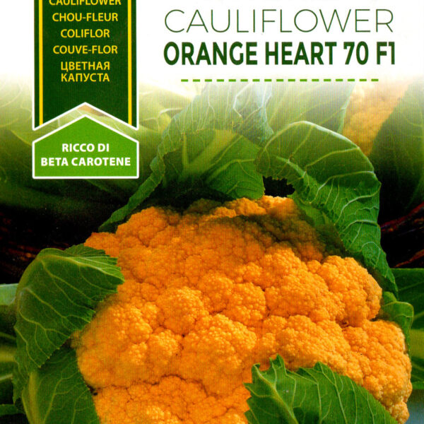 CAVOLFIORE Orange Heart 70 F1
