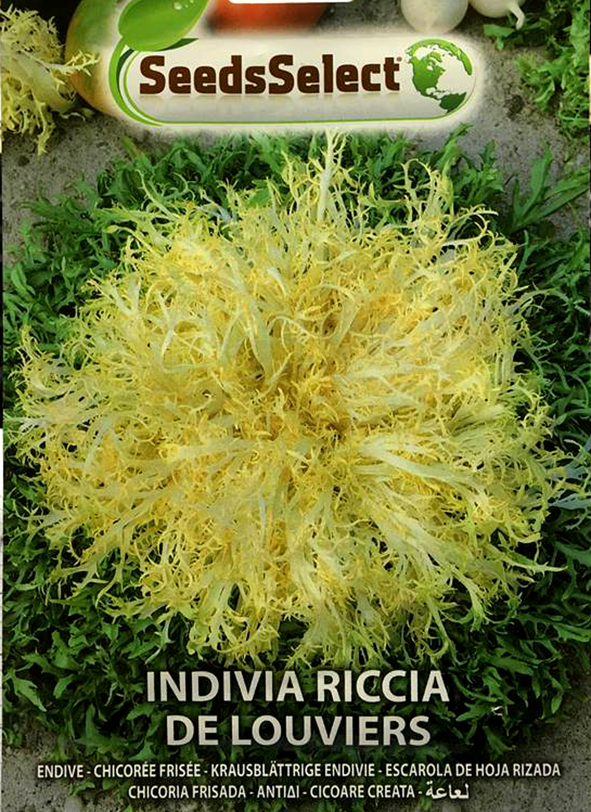 INDIVIA Riccia De Louviers